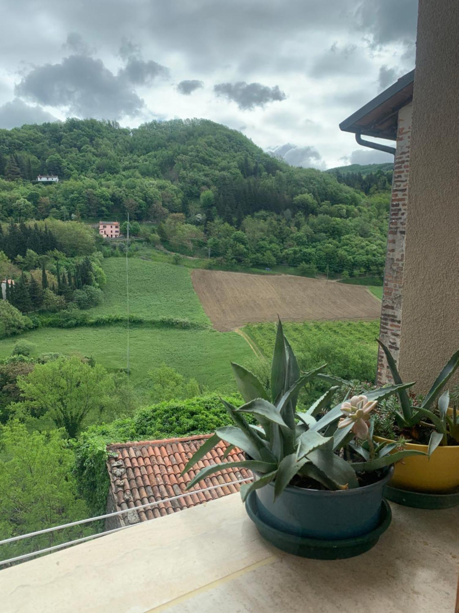 Camibb Hotell Castel del Rio Eksteriør bilde